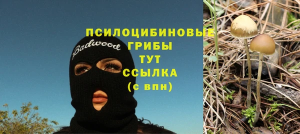 ECSTASY Тобольск