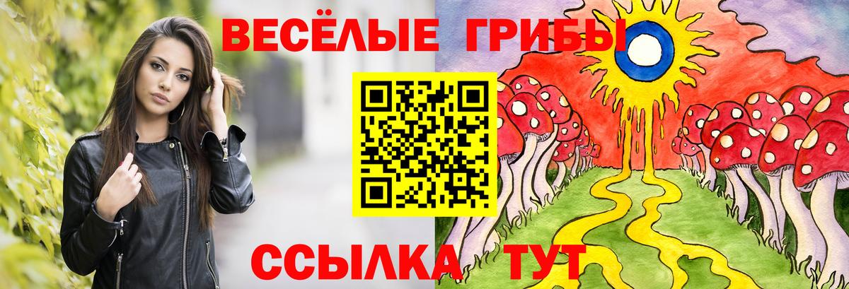 Псилоцибиновые грибы GOLDEN TEACHER Липецк