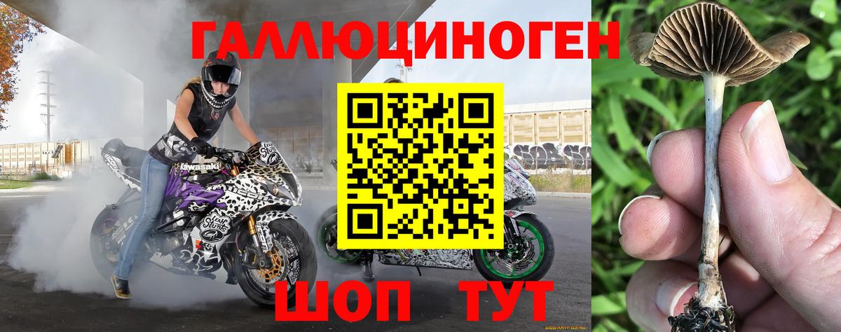 Липецк  Галлюциногенные грибы GOLDEN TEACHER  Вход с VPN 